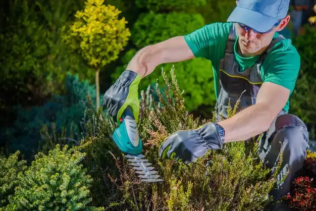landscaping services New York Mills